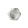 Заглушка SD Forte 1" ВР SF35225