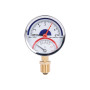 Термоманометр Thermo Alliance Standart 80 мм 1/2", нижнє підмикання SD1726B