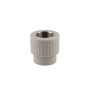 Муфта PPR Thermo Alliance 25х3/4" ВР