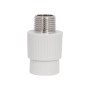 Муфта PPR Thermo Alliance 20х1/2" ЗР