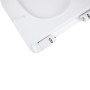 Сидіння для унітаза Qtap (Virgo) з мікроліфтом Slim QT99HY2111W