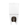 Унітаз-компакт Qtap Robin Ultra Quiet безободковий з сидінням Soft-close QT13222128AUQ1W