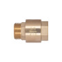 Клапан зворотний Thermo Alliance Standart 1"ВЗ із латунним штоком TAS248W25