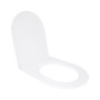 Сидіння для унітазу Qtap (Taurus 520) 455x365x38 мм, White, з мікроліфтом, Slim Duroplast, Quick Release QTSC179W49384